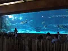 -河川生态园