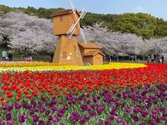 -苏州上方山国家森林公园