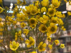 -方庄书店(通润商务会馆店)