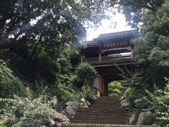 -中国茶叶博物馆(双峰馆区)