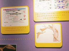 -辽宁古生物博物馆