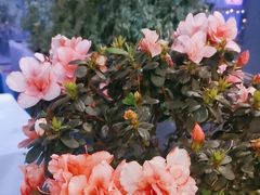 -渝信川菜(南滨店)