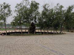 -绿堤公园