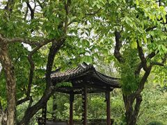 -四海公园(南山区)
