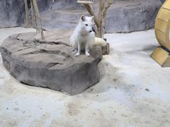 -海合安青岛极地海洋公园