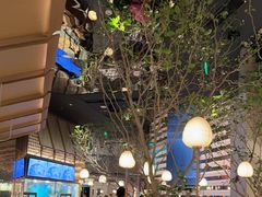 -桂满陇·海市蜃楼·黑金(国金店)