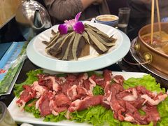 -蒙星月涮肚火锅城(宏运家园店)