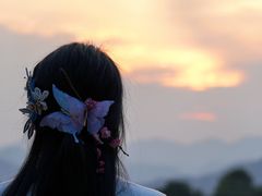 -新建村梅花