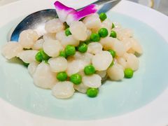 清炒虾仁-蘭心·臻品(瑞虹太阳宫店)