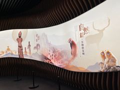 -四川大学博物馆