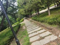-富斯特索道
