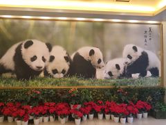 -成都驻京办餐厅(蜀都宾馆店)