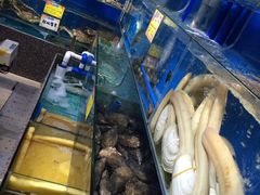 -蚝专家(北滘店)