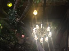 -D STAR COFFEE帝星咖啡