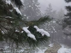 -秦岭终南山世界地质公园翠华山景区