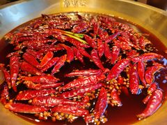 -小龙坎火锅(春熙太古里店)
