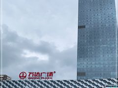 -万达广场(龙湖店)