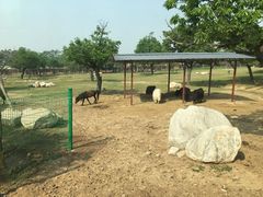 -西安秦岭野生动物园