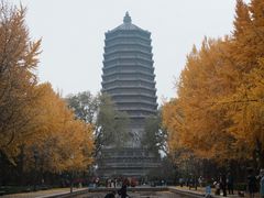 -玲珑塔公园