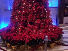 大堂-广州中心皇冠假日酒店-环市食坊·海鲜自助餐厅