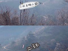 -香山公园
