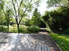 -昆山城市生态森林公园