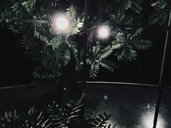 -zarah(鼓楼店)