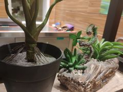 -好人民间小吃(镇江八佰伴店)