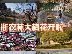 -浙江农林大学(东湖校区)