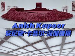 -深圳市当代艺术与城市规划馆