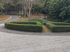 -清湖文化公园