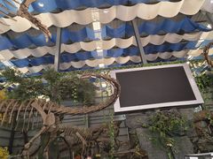 -诸城市恐龙博物馆