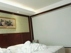 -维也纳酒店(深圳国际会展中心沙井上南店)