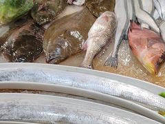 -和源祥·日照菜扛把子(万平口一店)