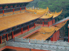 -东莞市大岭山森林公园
