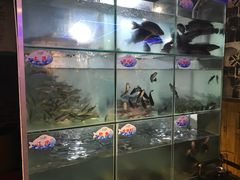 -蛙鱼道美蛙鱼自助火锅(新耍都店)