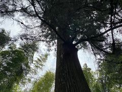 -太湖源风景区