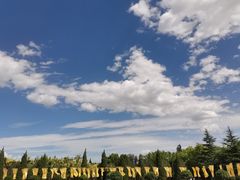 -大槐树寻根祭祖园