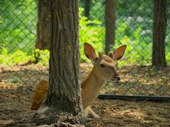 -南戴河国际娱乐中心