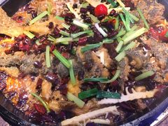 -老板恋上鱼(恒隆广场店)