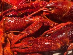 -巴厘龙虾·榜首油焖大虾(洞庭·艺术洋房店)