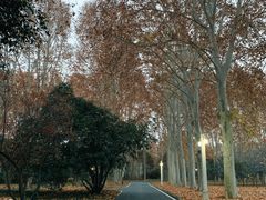 -河南省黄河迎宾馆