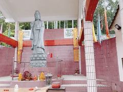 -风云岭森林公园