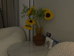 -联合丽格·张菡丽格医疗美容