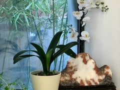 -故宫冰窖餐厅