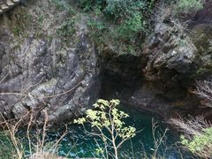 -花岩国家森林公园