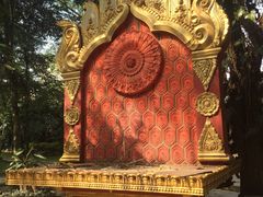 -瑞丽独树成林风景区