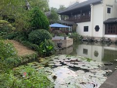 -杭州西子湖四季酒店-WL BISTRO西湖餐厅(灵隐路店)