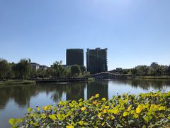 -西海子公园