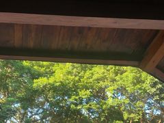 -碧水湾温泉